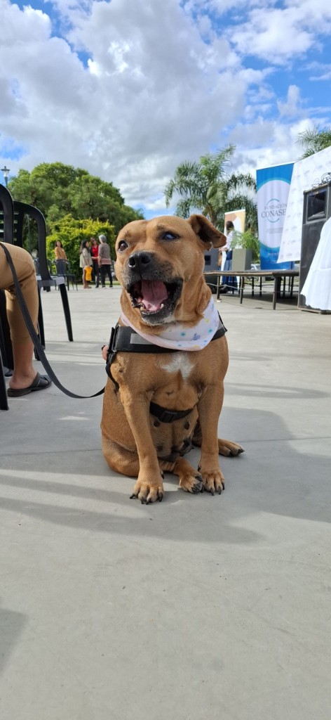 Greta feliz en un evento al aire libre con arnés