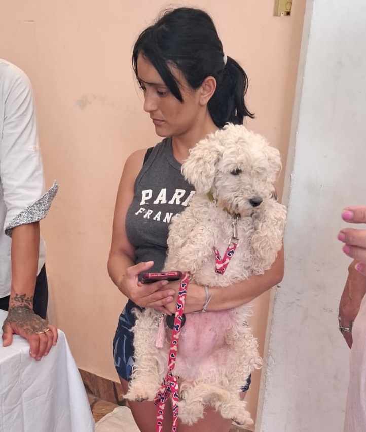 🐾 San Benito: Éxito en la Campaña de Castración Gracias al Esfuerzo Conjunto por el Bienestar Animal