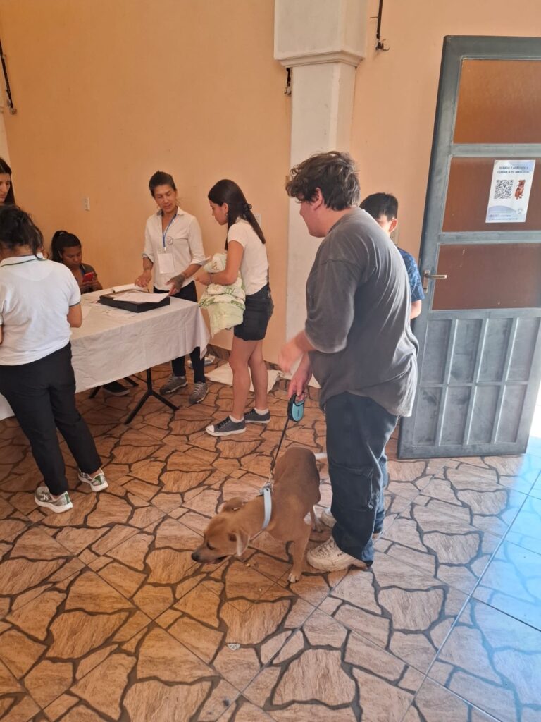 🐾 San Benito: Éxito en la Campaña de Castración Gracias al Esfuerzo Conjunto por el Bienestar Animal