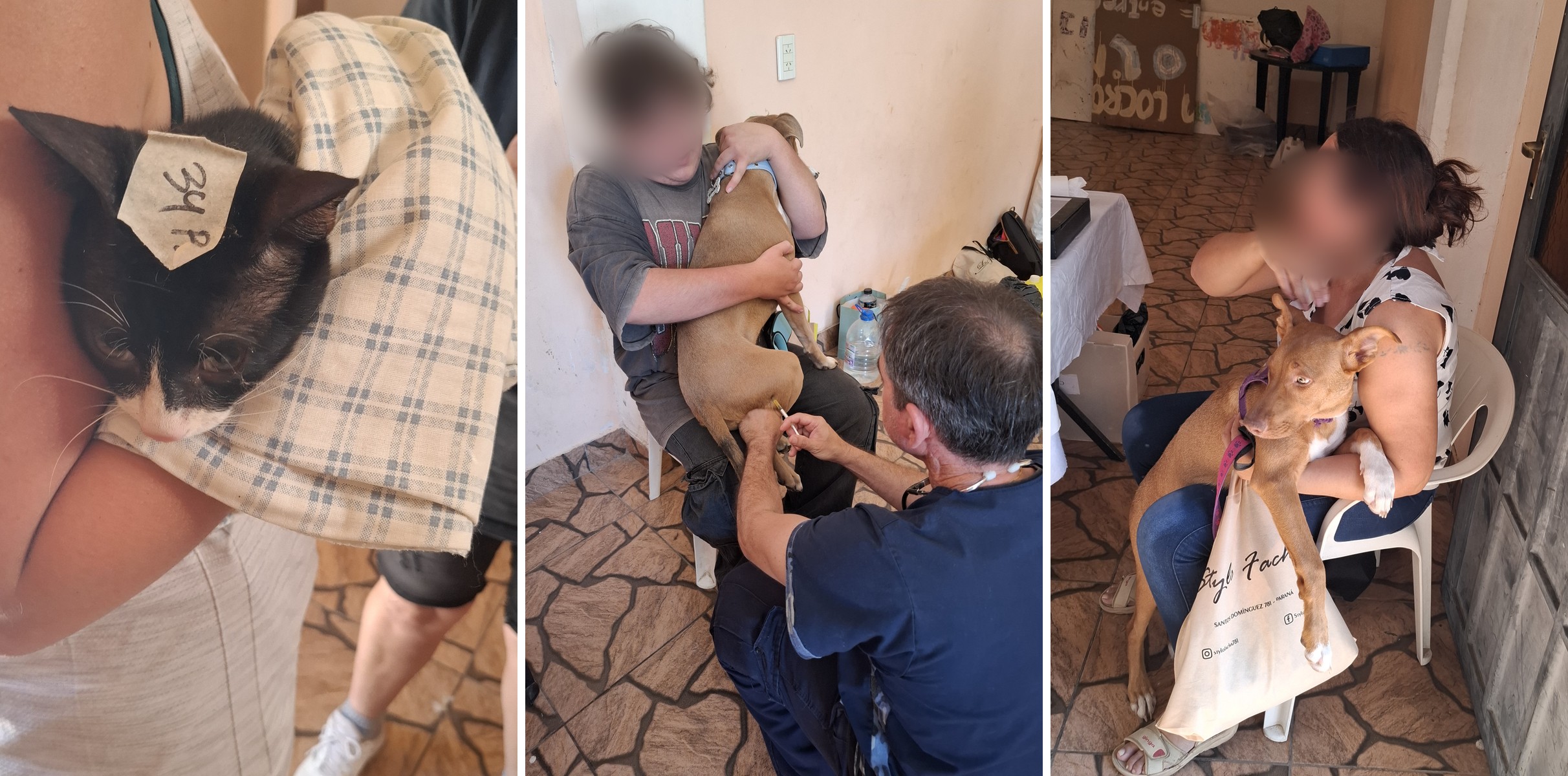 🐾 Se viene un nuevo Operativo de Castración en Barrio Villa Almendral: